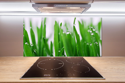 Cooker splashback Blade of grass