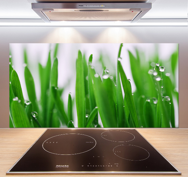 Cooker splashback Blade of grass