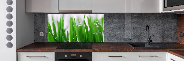 Cooker splashback Blade of grass