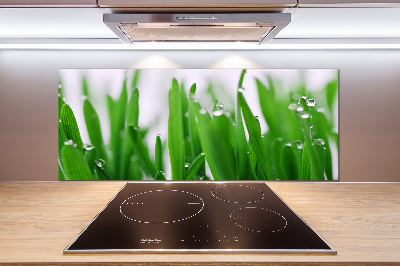 Cooker splashback Blade of grass