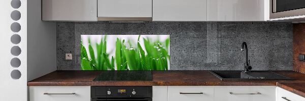 Cooker splashback Blade of grass