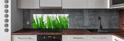 Cooker splashback Blade of grass