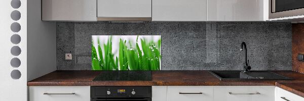 Cooker splashback Blade of grass