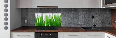 Cooker splashback Blade of grass