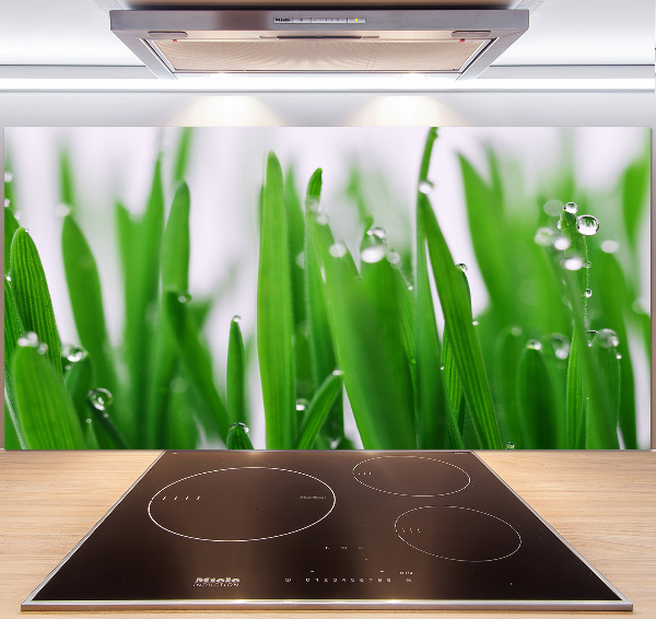 Cooker splashback Blade of grass