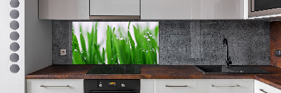 Cooker splashback Blade of grass