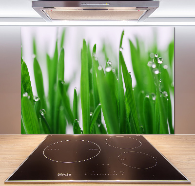 Cooker splashback Blade of grass