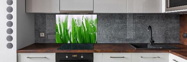 Cooker splashback Blade of grass