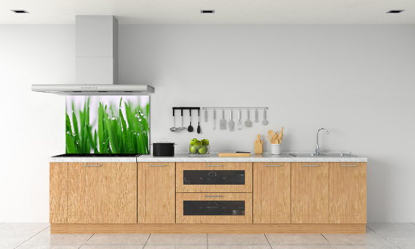 Cooker splashback Blade of grass