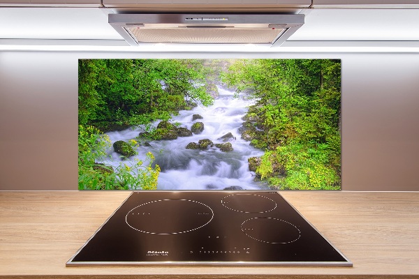 Cooker splashback Mountain river