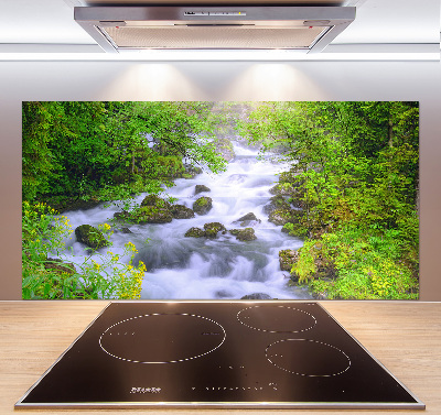 Cooker splashback Mountain river