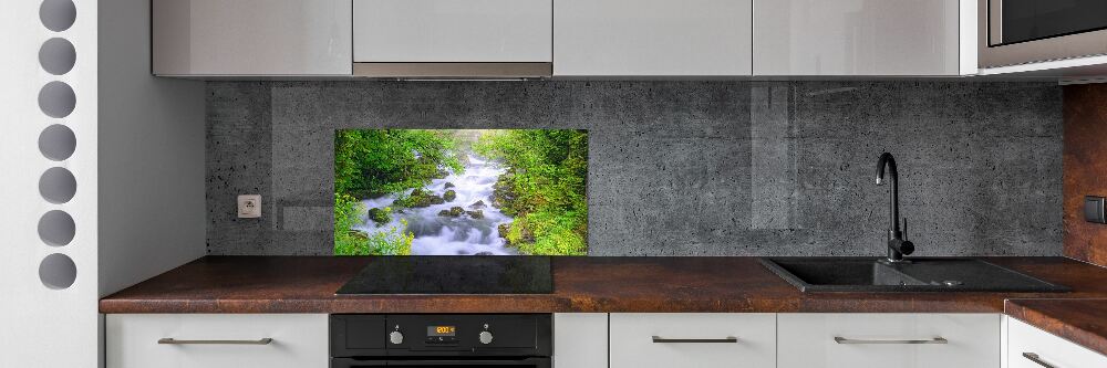 Cooker splashback Mountain river