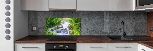 Cooker splashback Mountain river