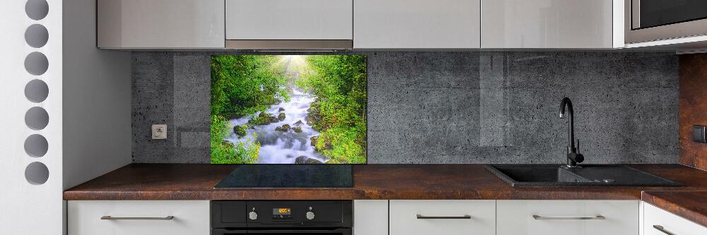 Cooker splashback Mountain river