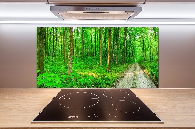 Cooker splashback Trees in the forest