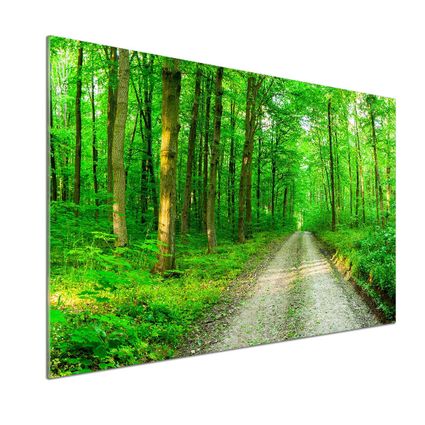 Cooker splashback Trees in the forest