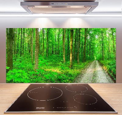 Cooker splashback Trees in the forest