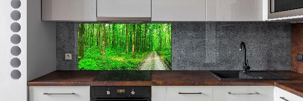 Cooker splashback Trees in the forest