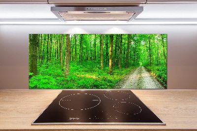 Cooker splashback Trees in the forest