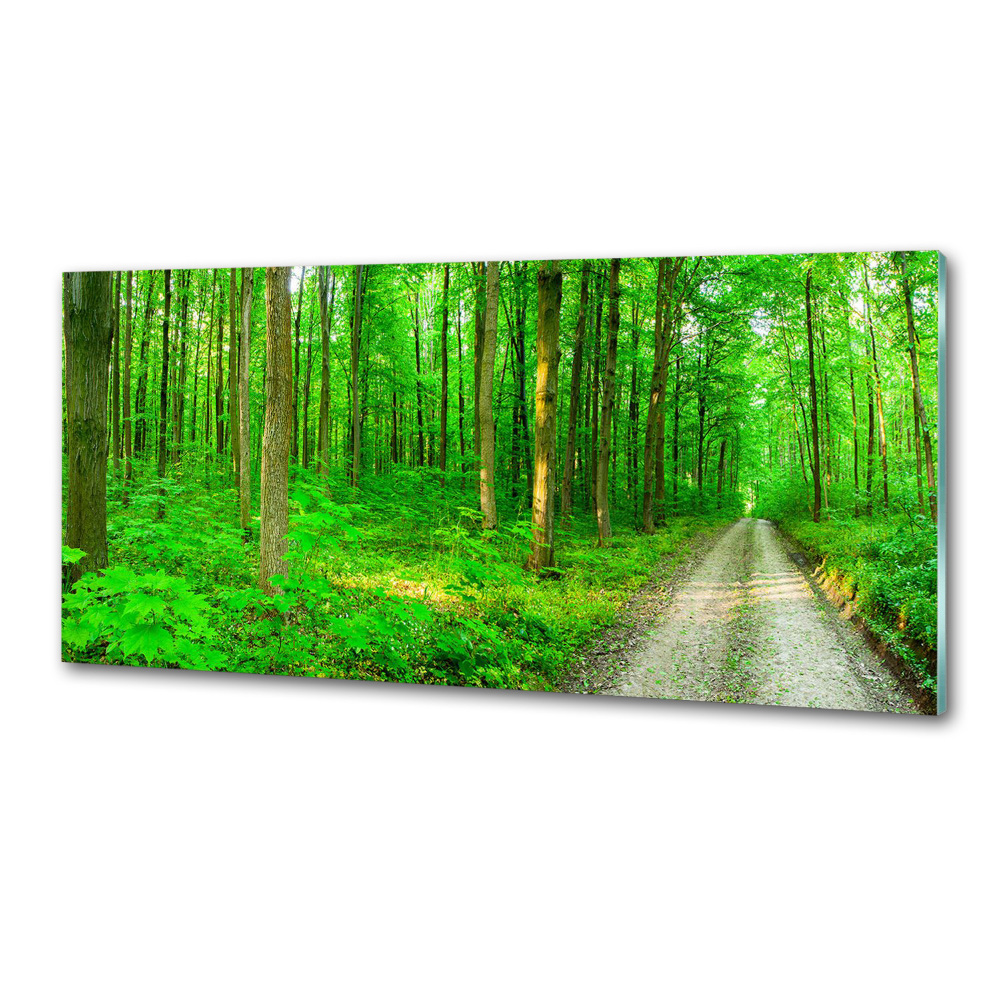 Cooker splashback Trees in the forest