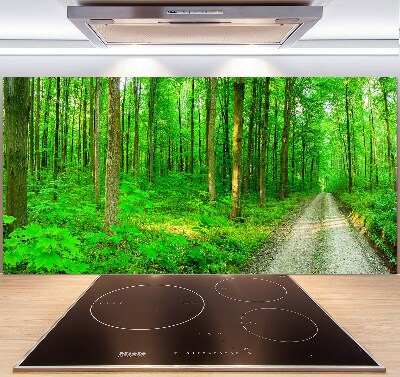 Cooker splashback Trees in the forest