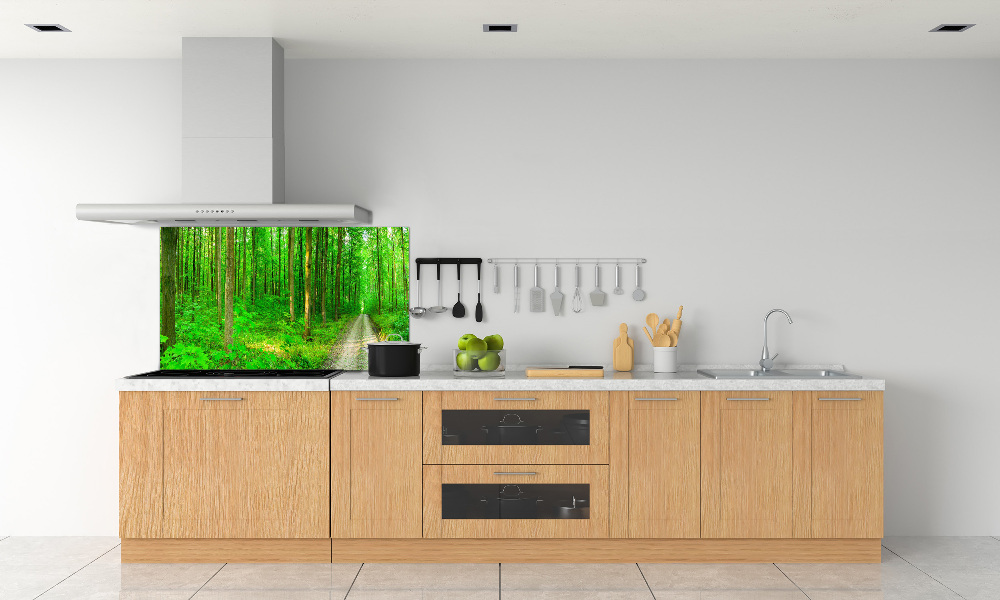 Cooker splashback Trees in the forest