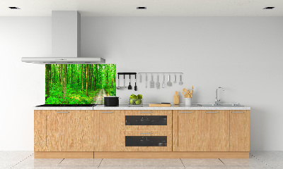 Cooker splashback Trees in the forest