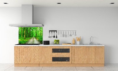 Cooker splashback Trees in the forest