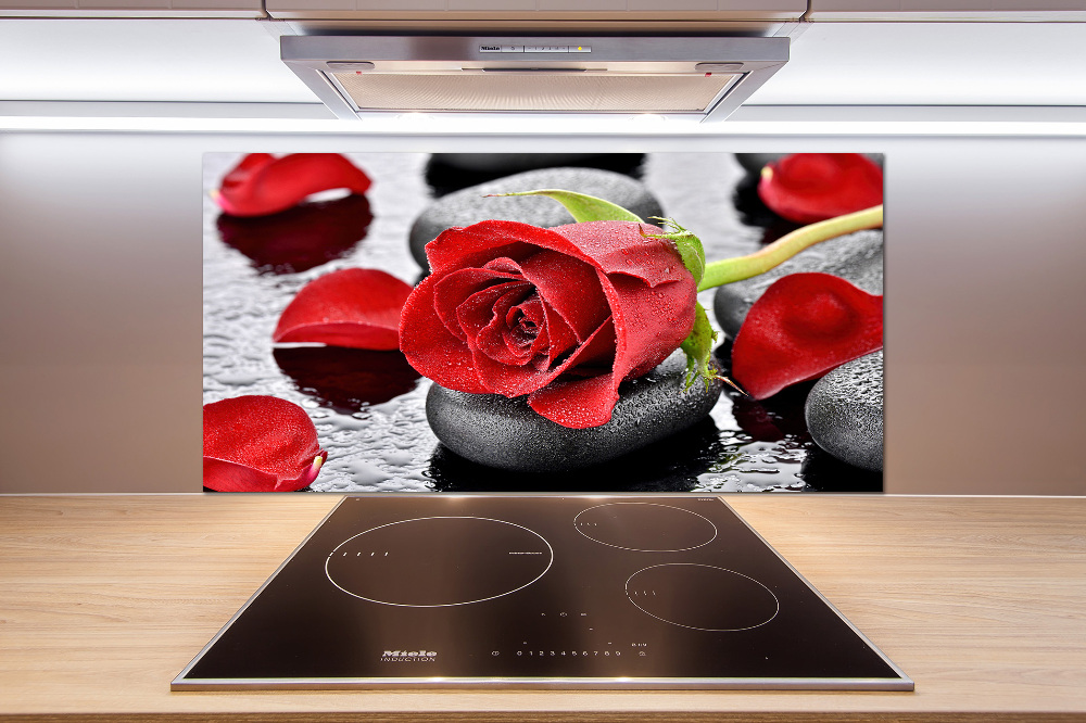 Cooker splashback Red rose