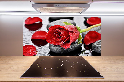 Cooker splashback Red rose