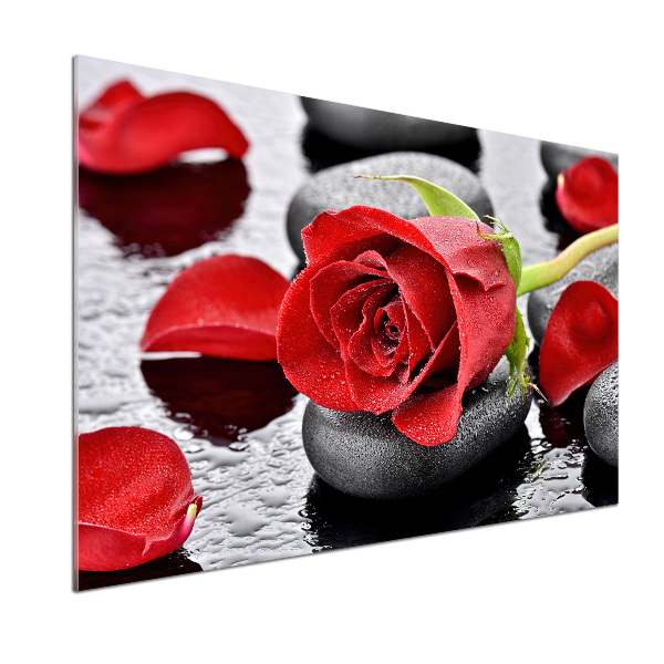 Cooker splashback Red rose