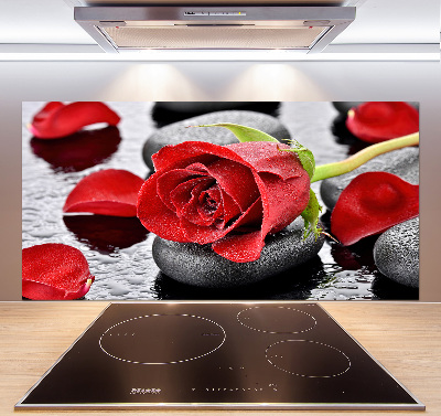 Cooker splashback Red rose