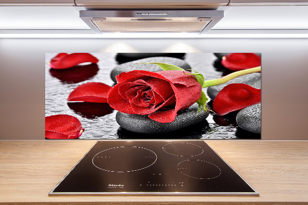 Cooker splashback Red rose