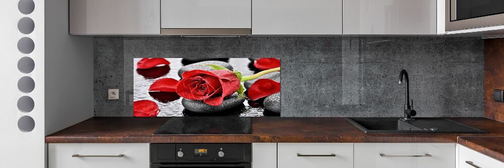 Cooker splashback Red rose