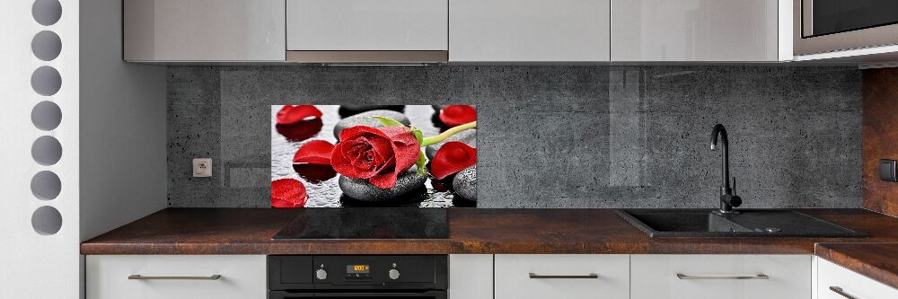 Cooker splashback Red rose