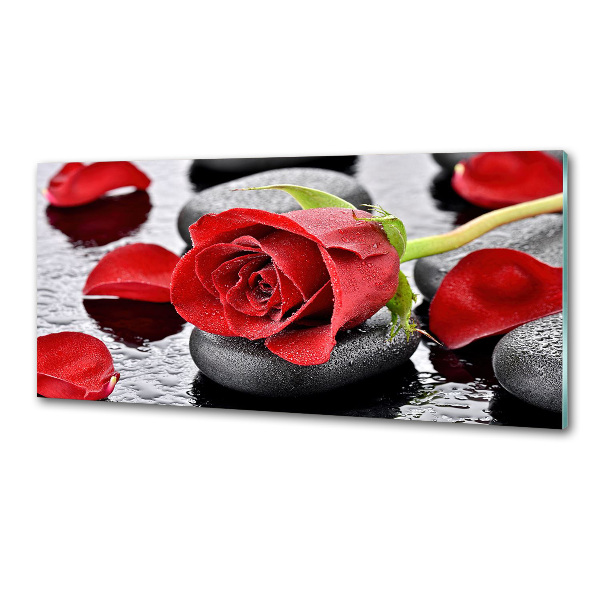 Cooker splashback Red rose