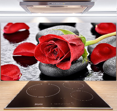 Cooker splashback Red rose