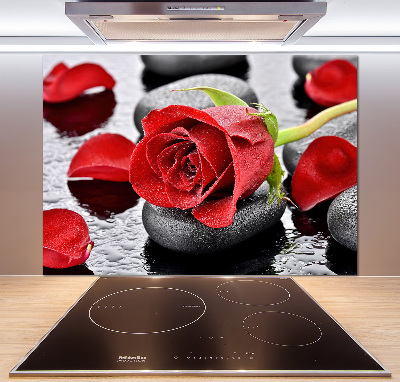 Cooker splashback Red rose