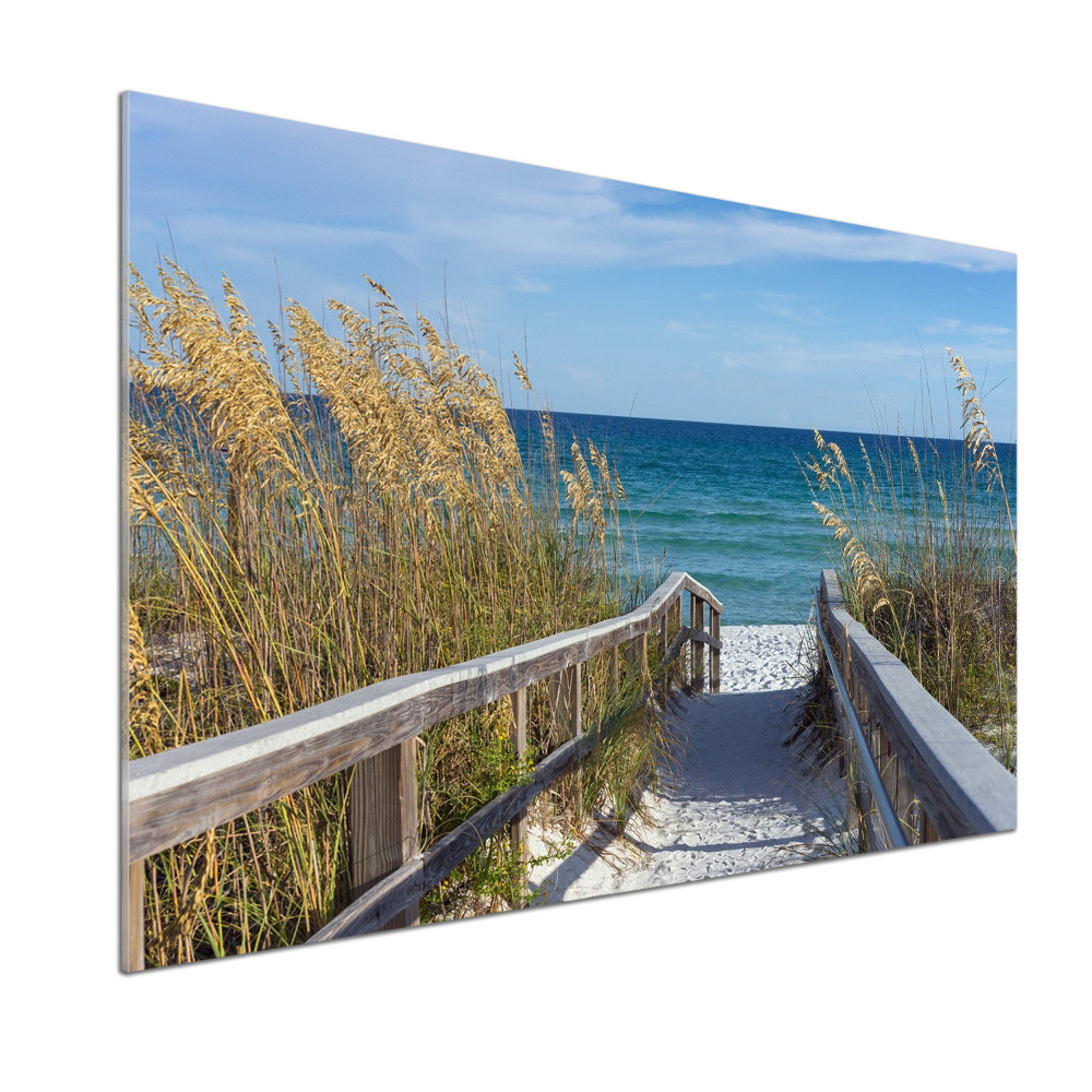 Cooker splashback Coastal dunes