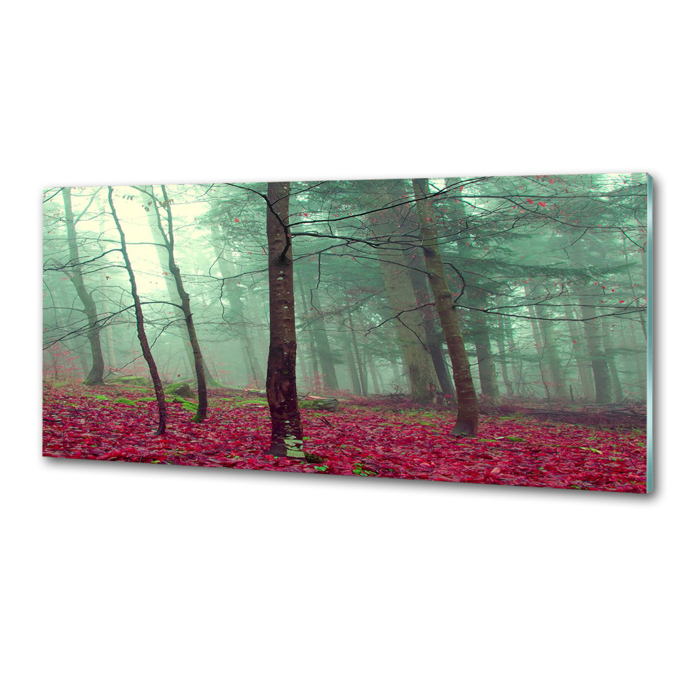 Cooker splashback Autumn leaves