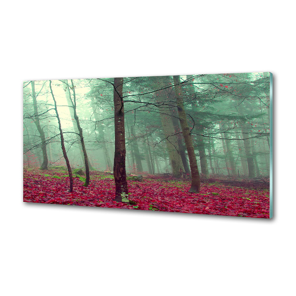 Cooker splashback Autumn leaves