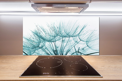 Cooker splashback Dandelion seeds