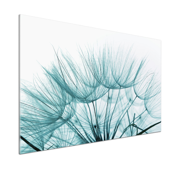 Cooker splashback Dandelion seeds