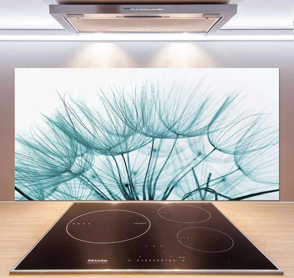 Cooker splashback Dandelion seeds