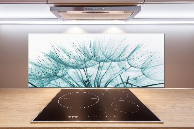 Cooker splashback Dandelion seeds