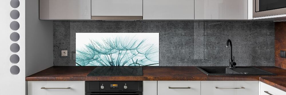 Cooker splashback Dandelion seeds