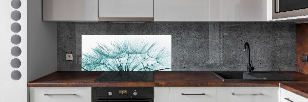 Cooker splashback Dandelion seeds