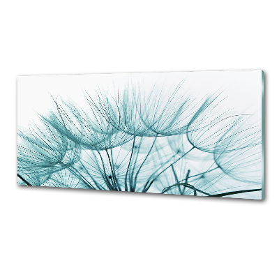 Cooker splashback Dandelion seeds