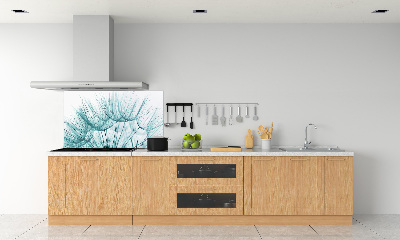 Cooker splashback Dandelion seeds