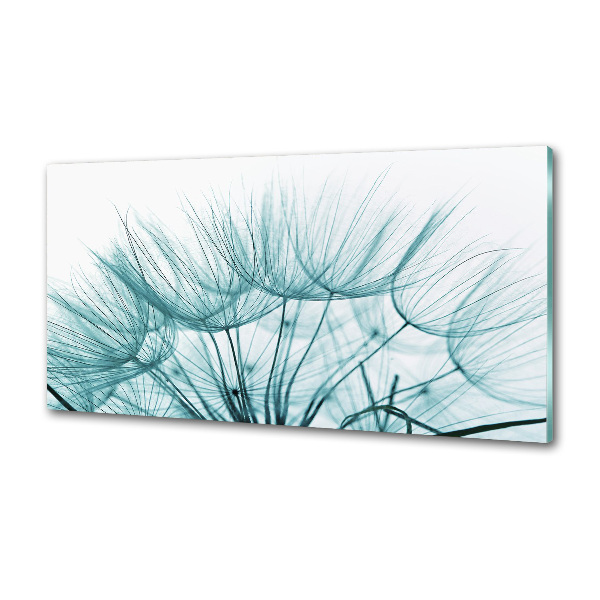 Cooker splashback Dandelion seeds